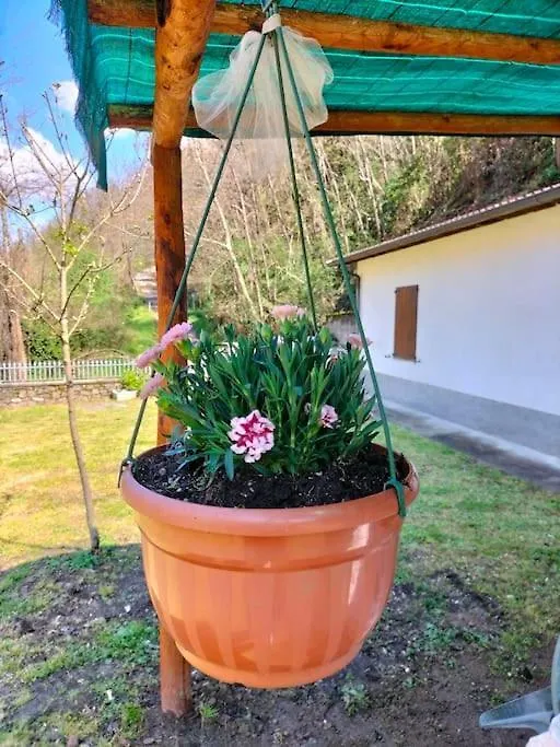 Lugliano Casa Irene Per Famiglie E Gruppi Con Piscinaヴィラ 0*,  イタリア